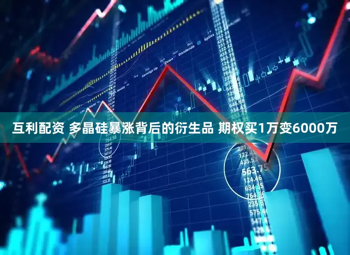 互利配资 多晶硅暴涨背后的衍生品 期权买1万变6000万