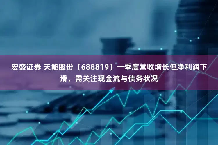 宏盛证券 天能股份（688819）一季度营收增长但净利润下滑，需关注现金流与债务状况