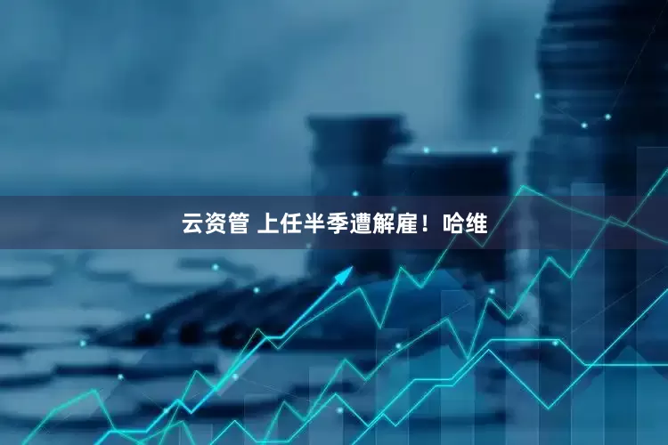 云资管 上任半季遭解雇！哈维